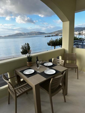 Samanthas LUXURY APARTMENT - Dodekanes Haraki